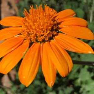 Meet your Posher, Arthur